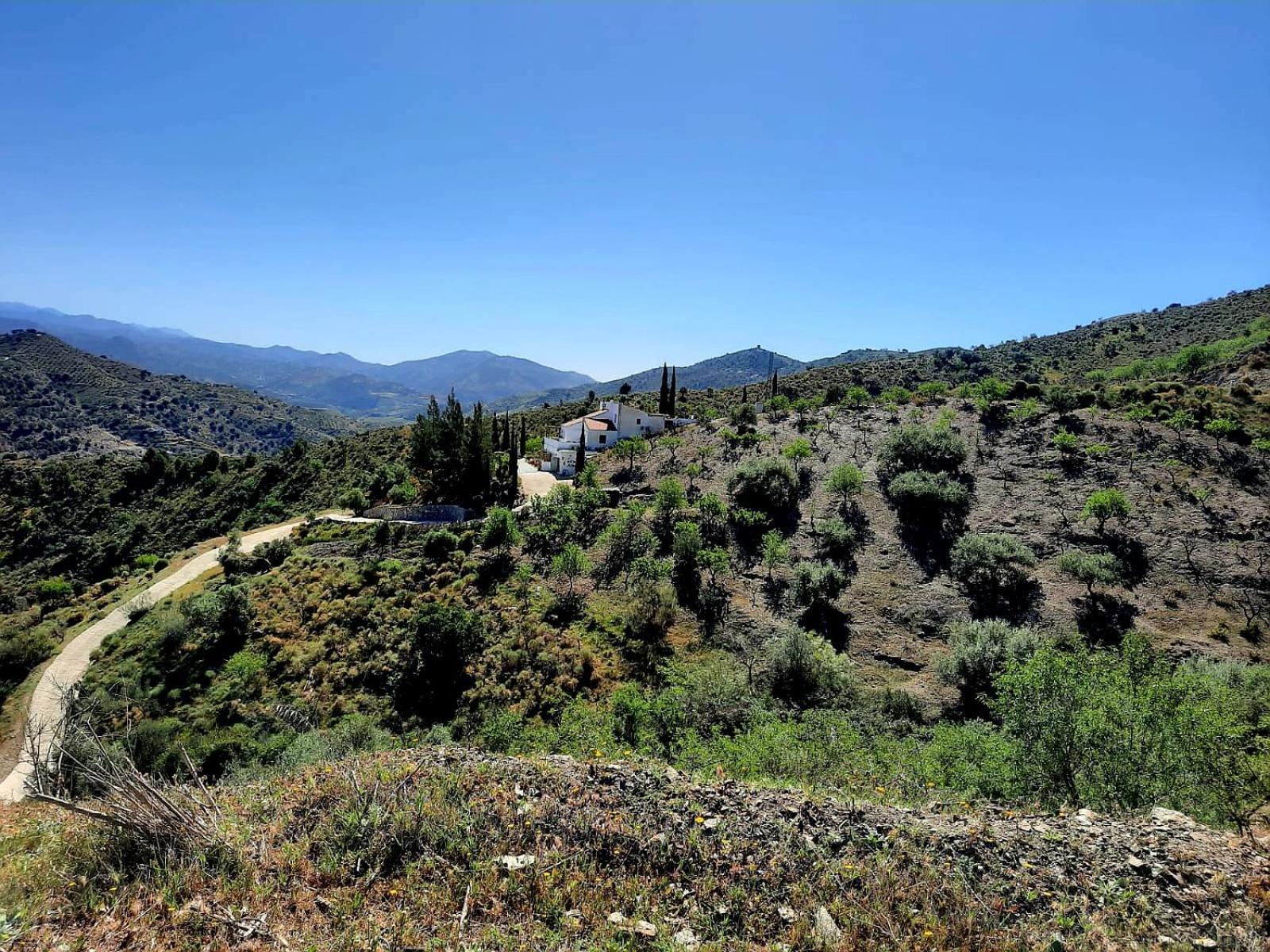 Casa Amani Bed and Breakfast Viñuela Buitenkant foto